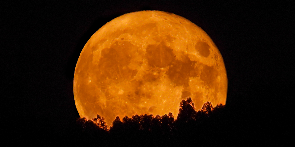 Diese Astronomie-Spektakel sind am Dezember-Nachthimmel zu sehen