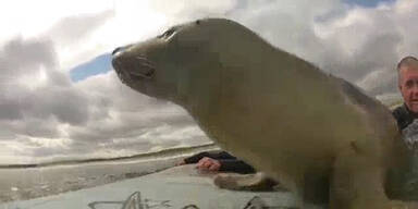 Surfer mit Seehund