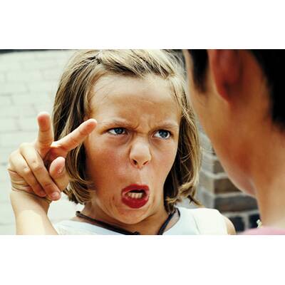 Tiger-Team: Darum geht's