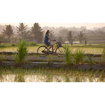 Julia Roberts auf der Suche...