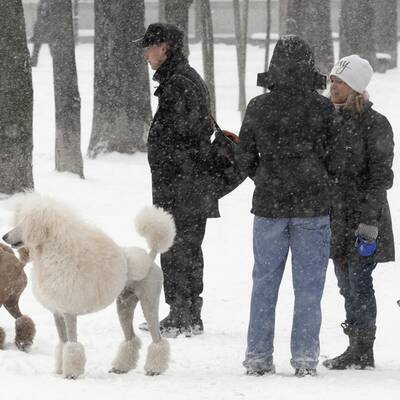 Europa versinkt im Schneechaos