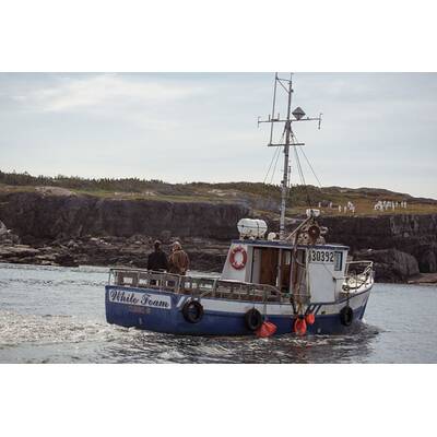 Dorfkomödie mit Starbesetzung: 