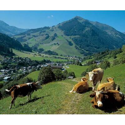 the-0219(IMG_9417)mail