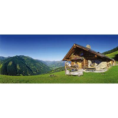 the-0219(IMG_9417)mail