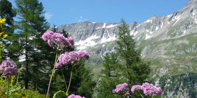 Tourismus mit N&auml;chtigungsplus im Sommer
