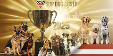Top Dog Austria 2025: Gro&szlig;es Finale auf Schloss Laxenburg &ndash; Wer wird &Ouml;sterreichs sch&ouml;nster Hund?