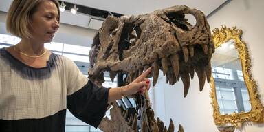 Ted Shaffrey/associated Press