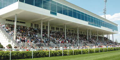 Milliardär will Song Contest nach Ebreichsdorf holen