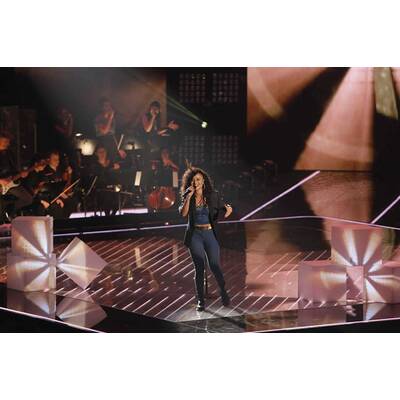 The Voice of Germany: Das Halbfinale