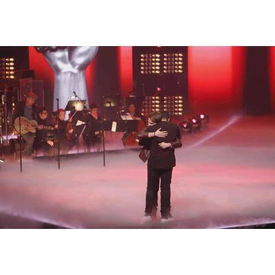 The Voice of Germany: Das Halbfinale