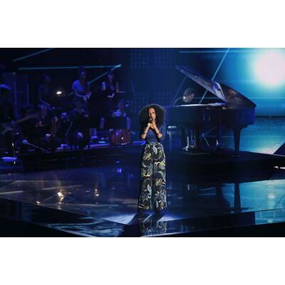 The Voice of Germany: Das Halbfinale