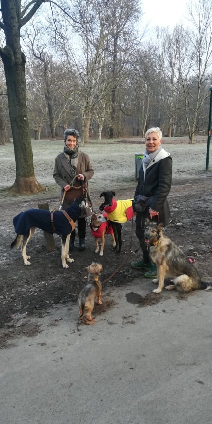 Abzocke in Wiener Hundezone