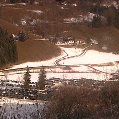 So grün ist derzeit Österreich
