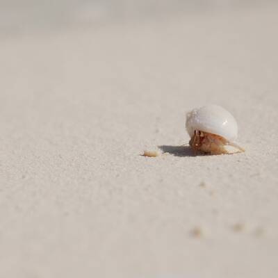 Die schönsten Urlaubsfotos