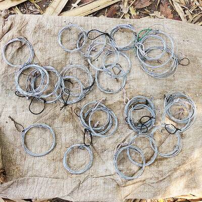 WWF-Experte Georg Scattolin und Ranger im Kui Buri Nationalpark