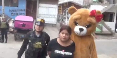 Teddybär
