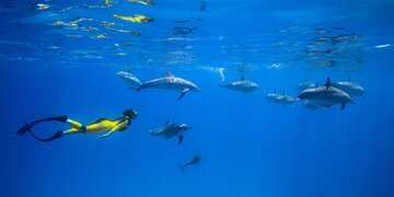 Nationalpark Velebit 