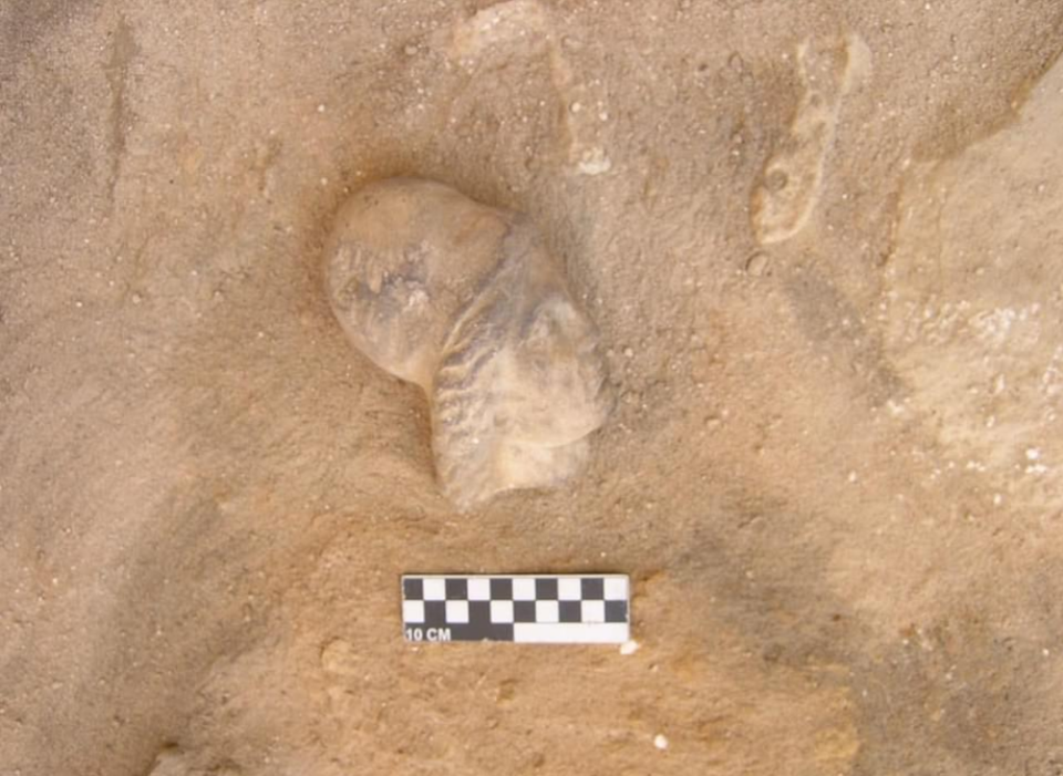 Ministery of Tourism and Antiqituies