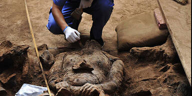 120 neue Terrakotta-Krieger ausgegraben