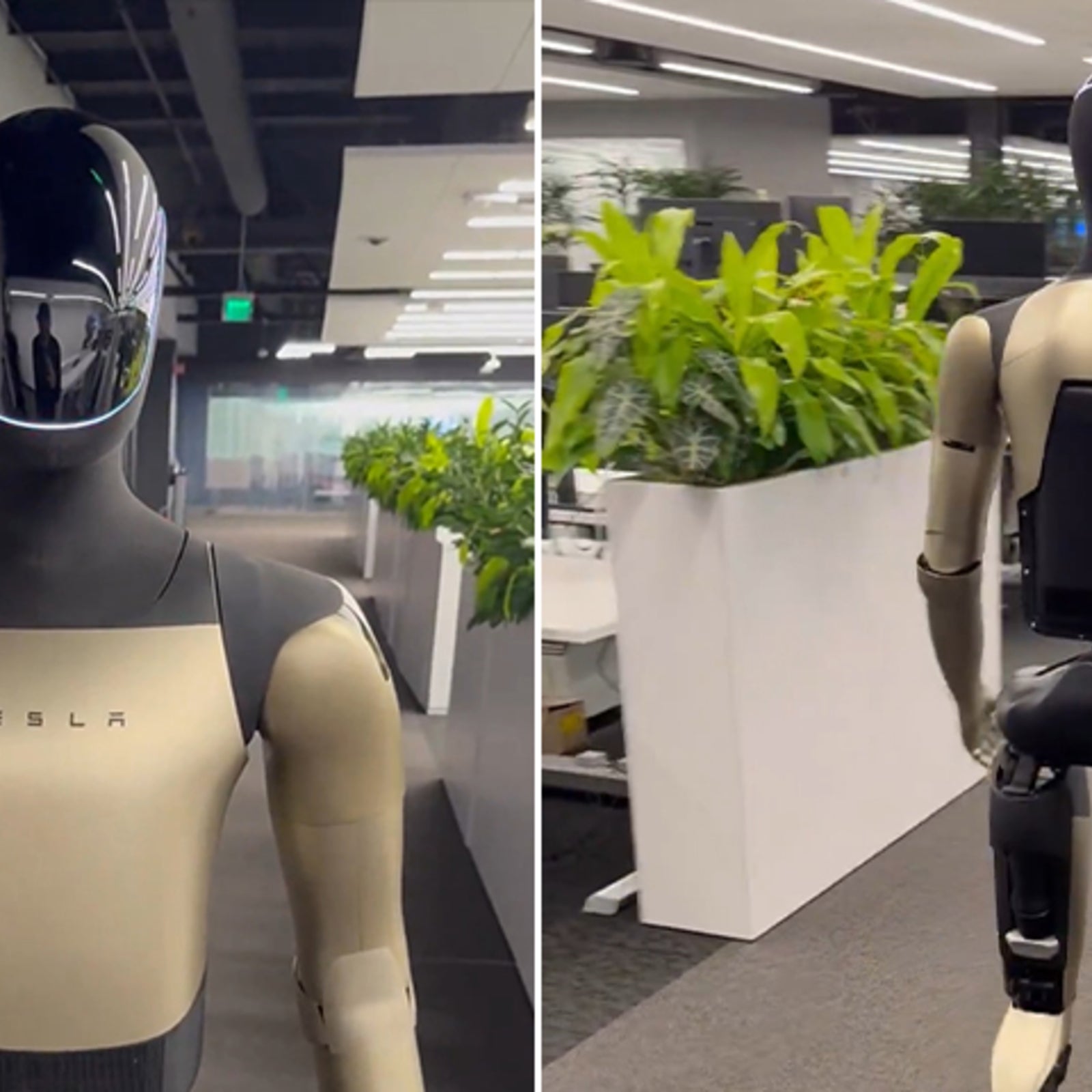 A sleek robot emerging into view