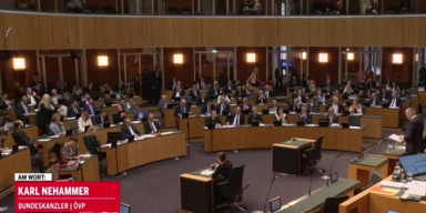 Teuerersitzung im Nationalrat.png