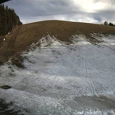 So grün ist derzeit Österreich