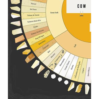Geniales Schaubild erklärt die Käsewelt