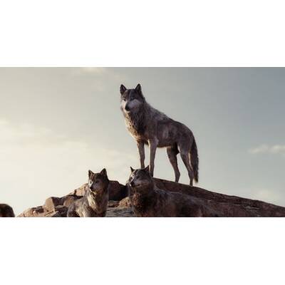 Das Dschungelbuch wird real