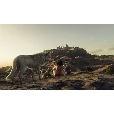 Das Dschungelbuch wird real