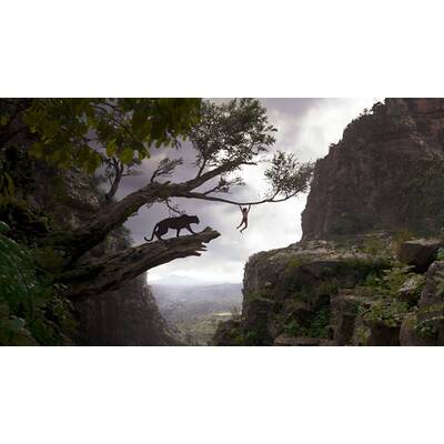 Das Dschungelbuch wird real