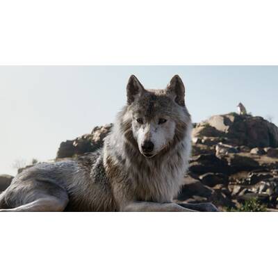 Das Dschungelbuch wird real