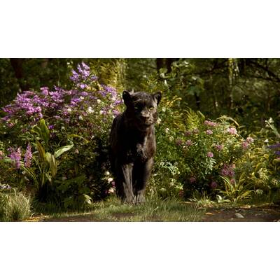 Das Dschungelbuch wird real