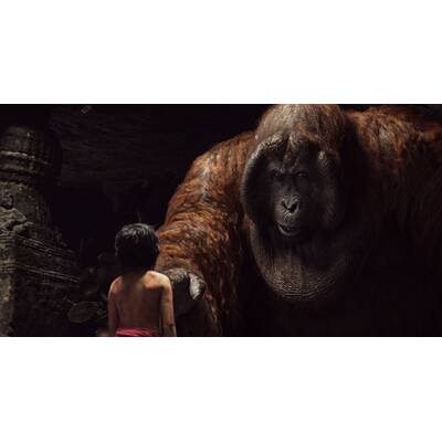 Das Dschungelbuch wird real