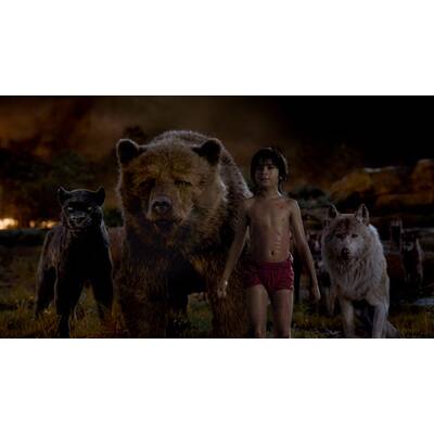 Das Dschungelbuch wird real