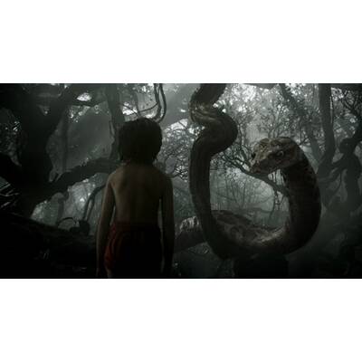 Das Dschungelbuch wird real