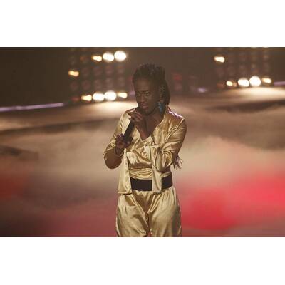 The Voice of Germany - Das Finale