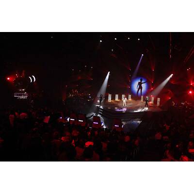 Vier Kandidaten sind weiter....