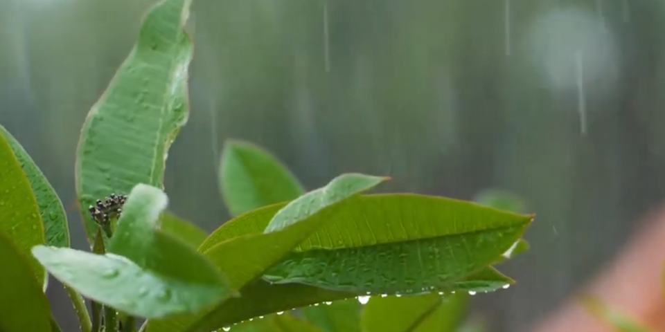 WWF Earth Hour am 25. März