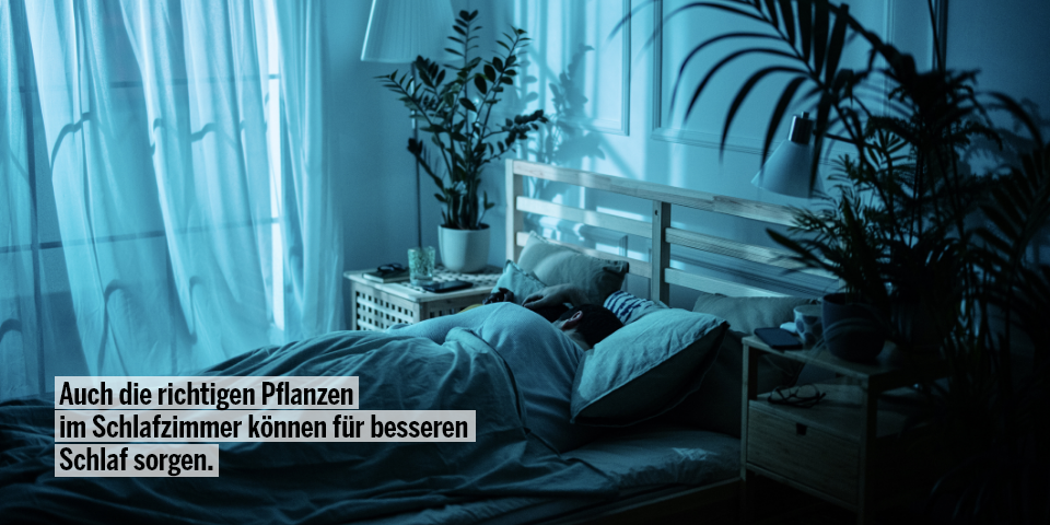 Man kann Schlaf nachholen. – Falsch.