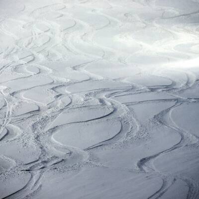 ÖSV-Damen geben im Tiefschnee Gas