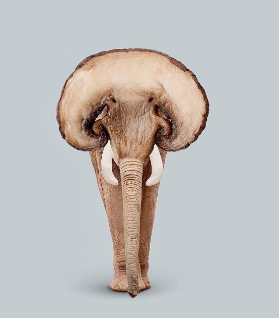 les.creatonautes/Instagram