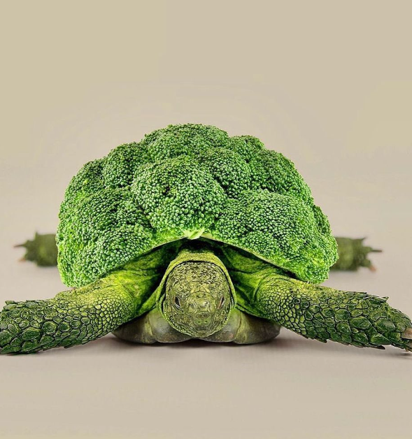 les.creatonautes/Instagram