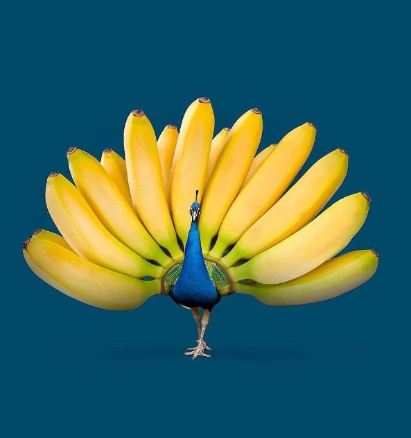 les.creatonautes/Instagram