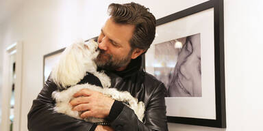 Warnung vor Weihnachten: "Tiere sind kein Spielzeug"