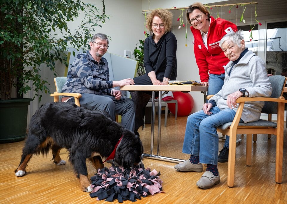 Kopie von Therapiehund Holly bereichert den Alltag im PBZ Pottendorf