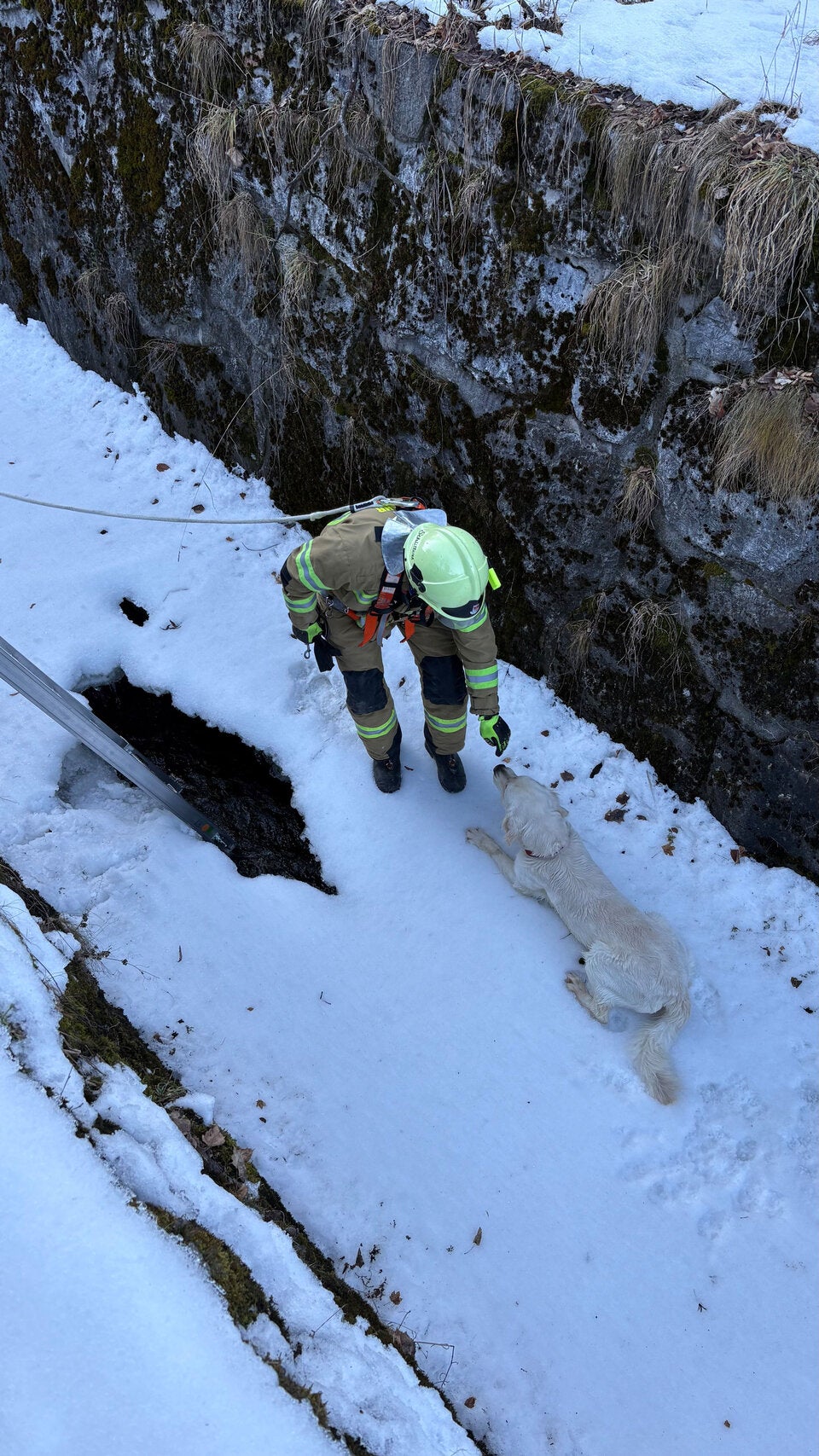 Die alarmierten Feuerwehrleute retteten den Vierbeiner.