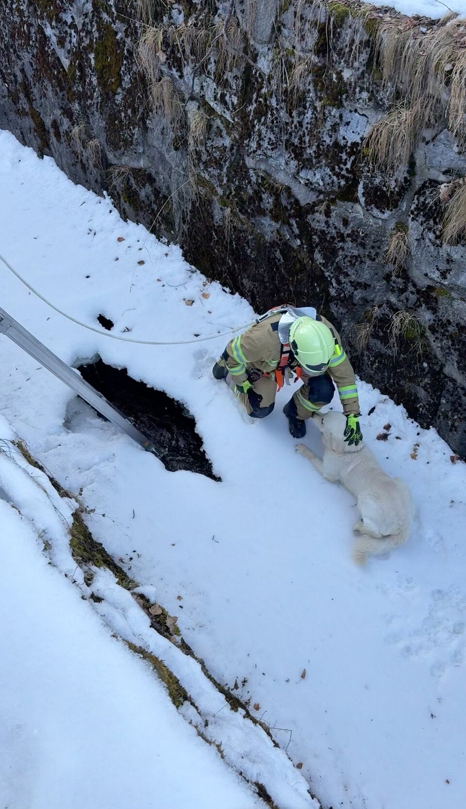 Die alarmierten Feuerwehrleute retteten den Vierbeiner.