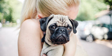 Tierschutz Tiersch&uuml;tzer