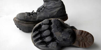 Die ganze Welt lacht &uuml;ber "Tierschuhe"