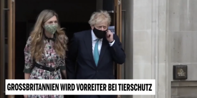Tierschutz GB 1.PNG
